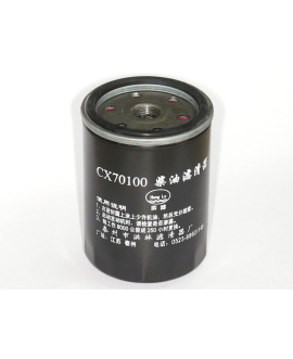 Náhradní vložka dieselového filtru CX07100 (CX0710)